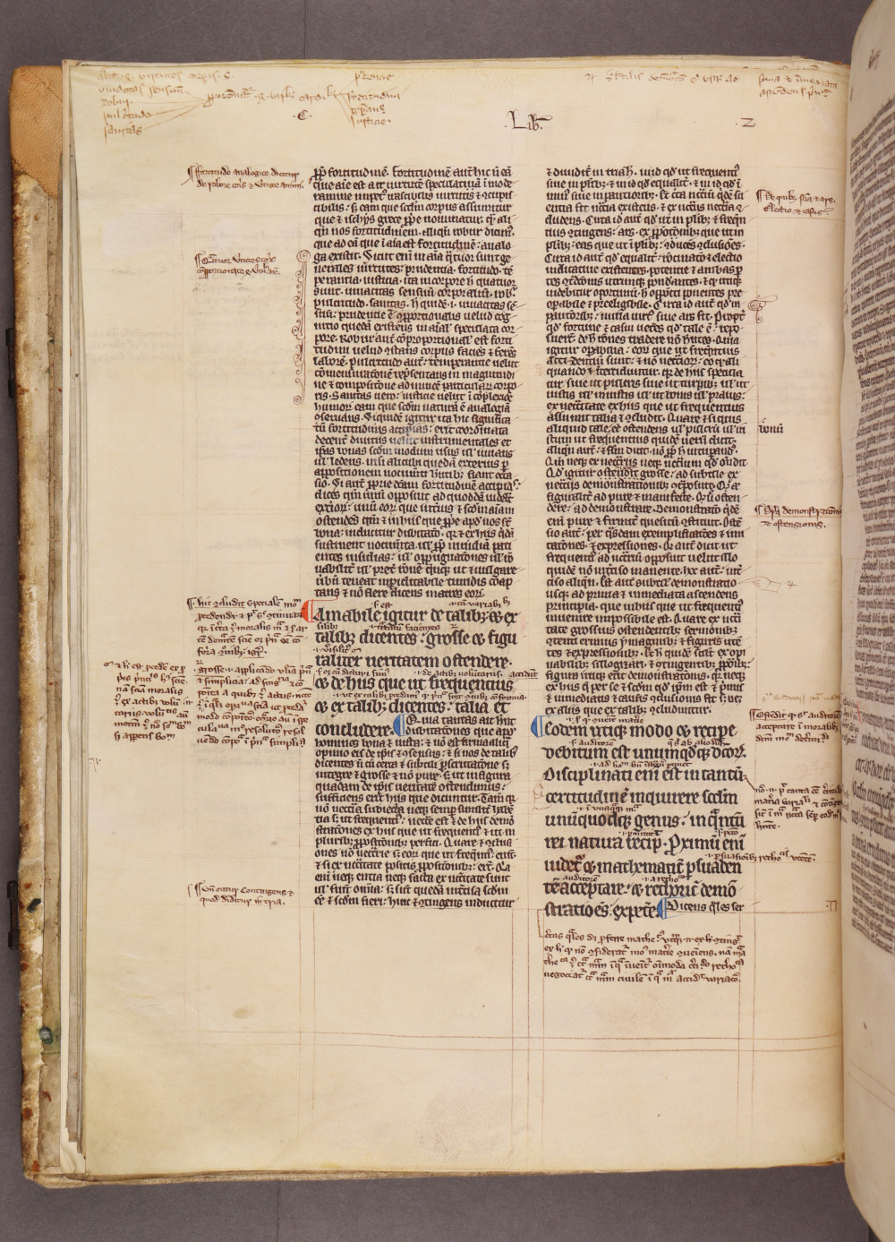 Folio 15 verso